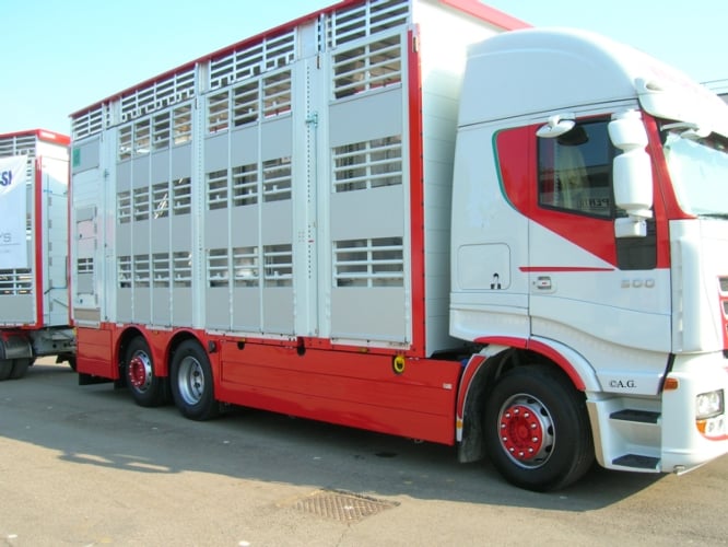 camion-trasporto-animali